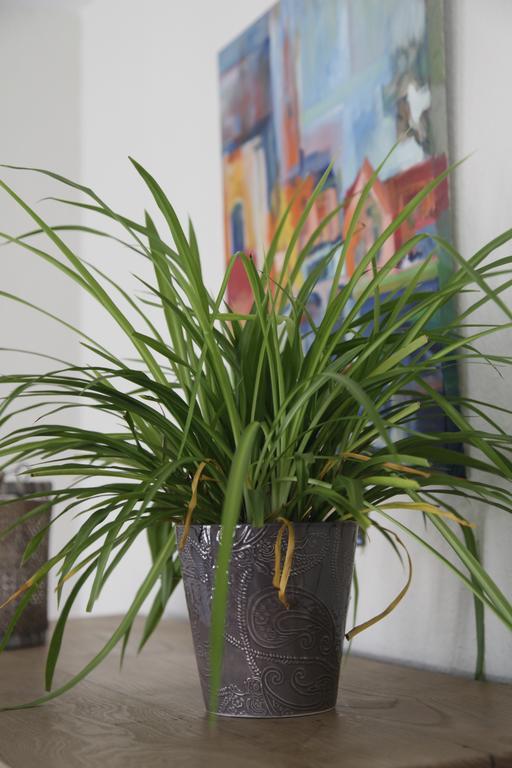 Aux Herbes Folles Herve Eksteriør billede
